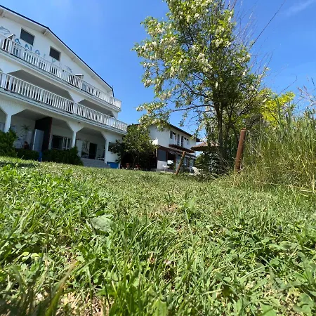 Casa Analys Pensión Douăzeci şi Trei August